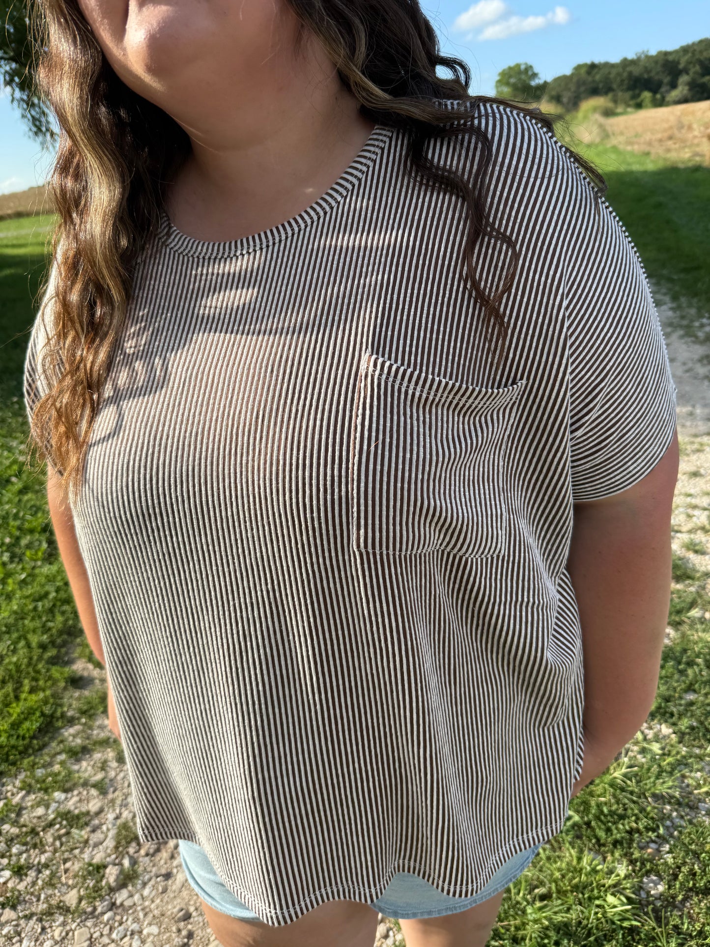 Plus Brown Ribbed Top