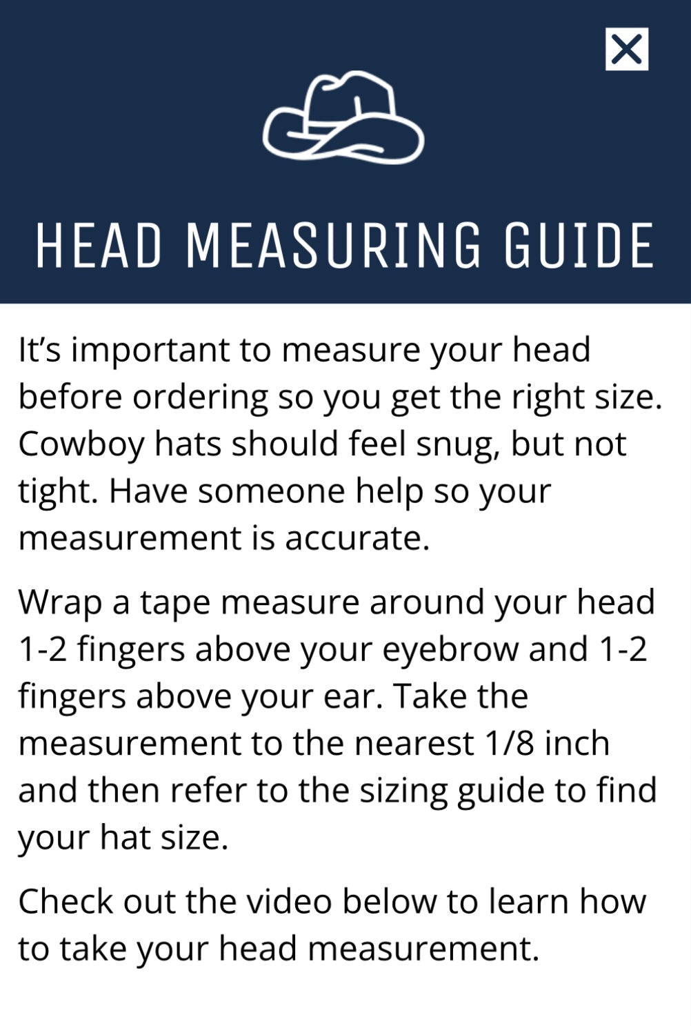 Silver Belly Wool Felt Cowboy Hat