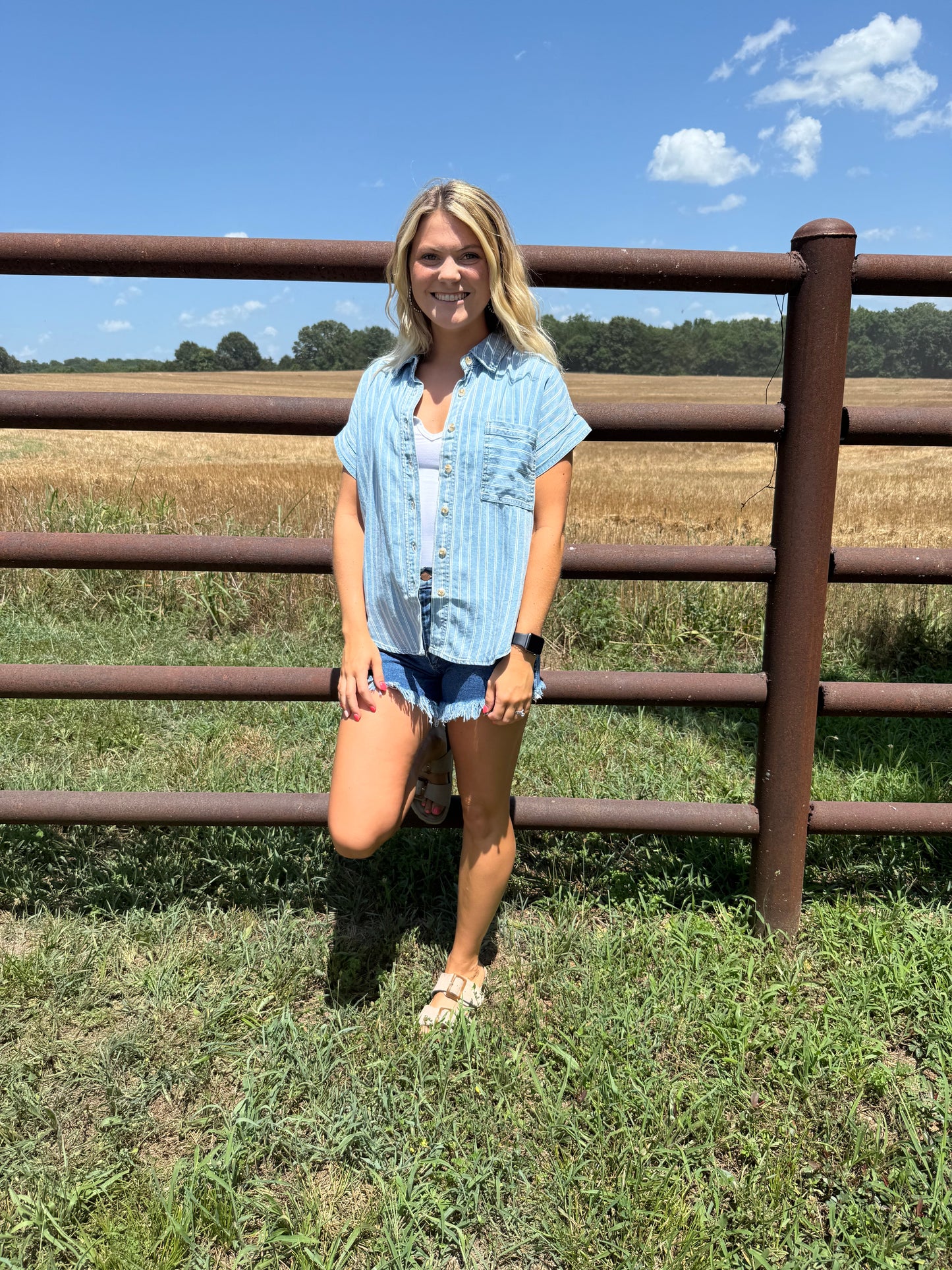 Denim Striped Button Top