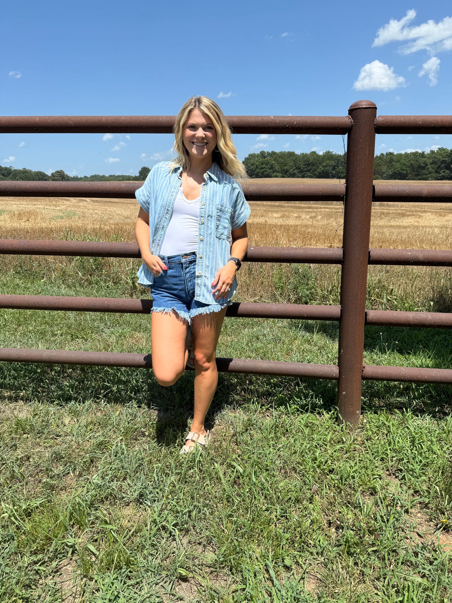 Denim Striped Button Top