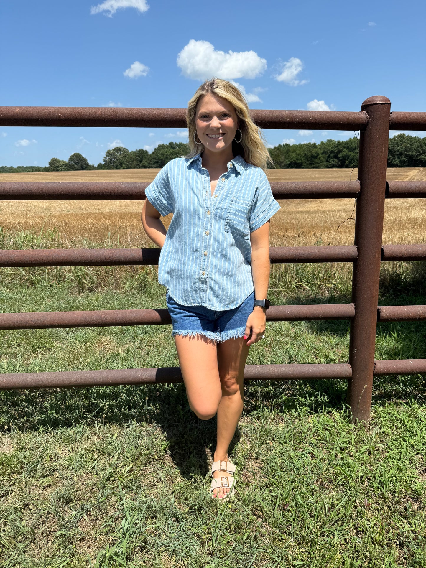 Denim Striped Button Top