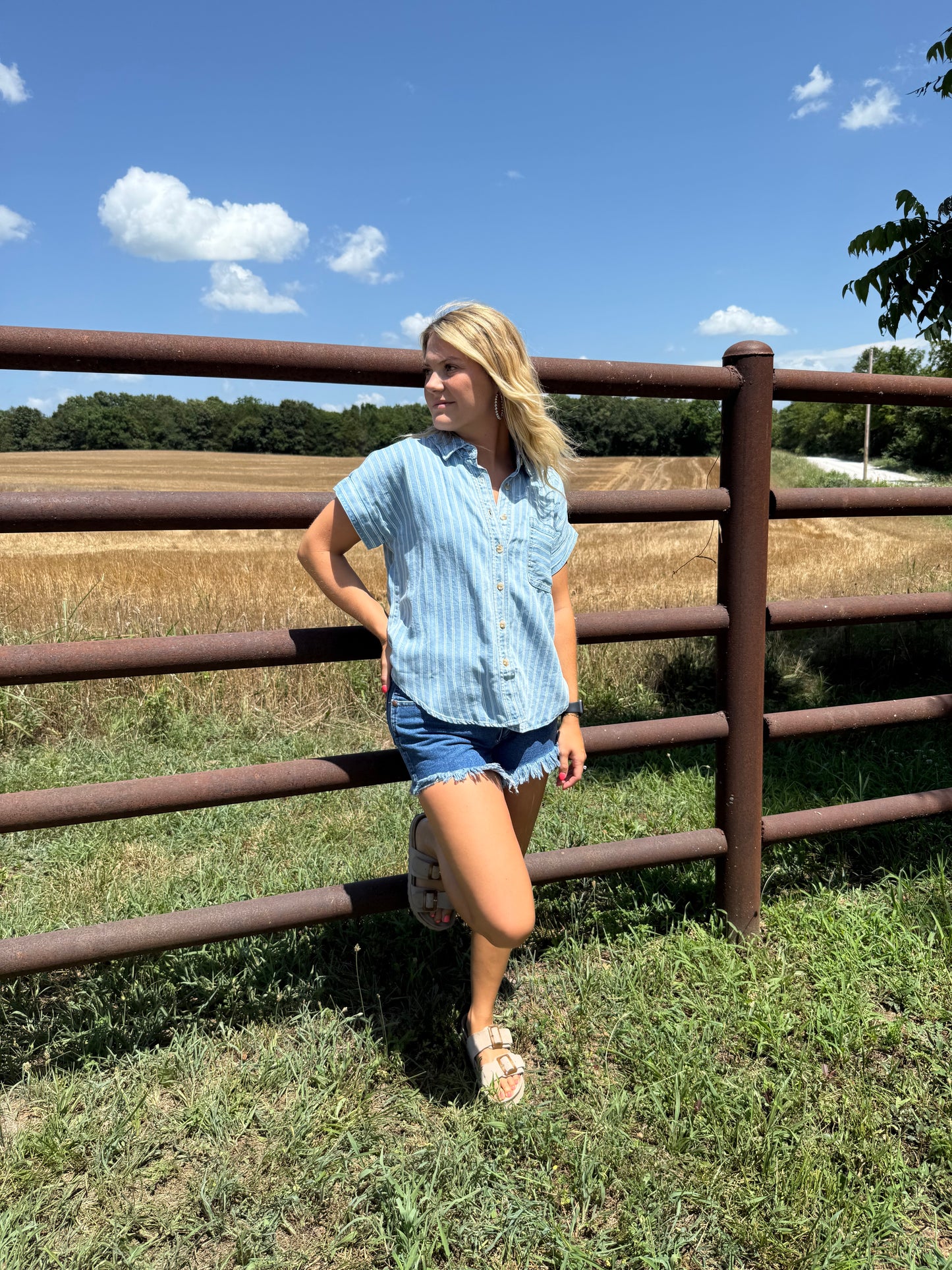 Denim Striped Button Top